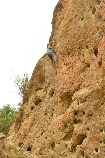 DSC_6318 (Large).JPG